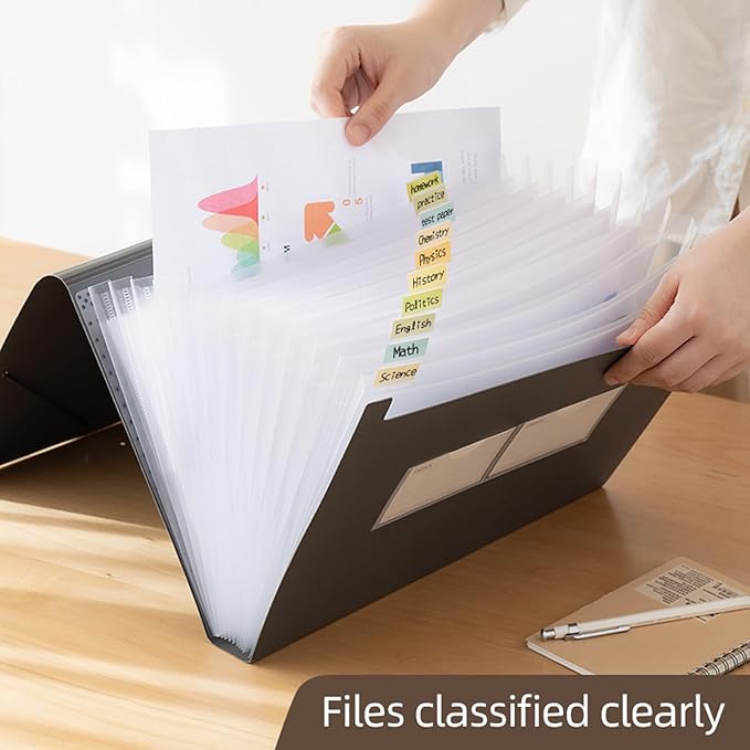 Expanding File Folder with Tabs, 13 Pockets File Organizer Accordion File Holder ,with Elastic Buckles Closure, A4 Paper Document Organizer for Home School Office (1, Black)