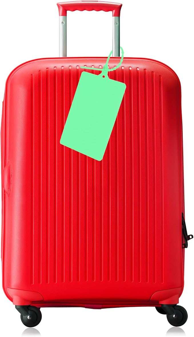 MECCANIXITY Plastic Seals Shipping Tags, for Basket Labels Cable Labels Tags Product Identification Tags, Logistics Marking, Outdoor Tagging, 3.1x3.9 Inch Green 100Packs