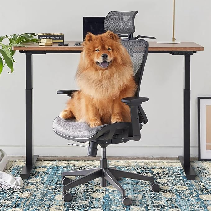 Anidaroel Home Office Chair Rug for Hardwood Floor, 36"x48" Rolling Chair Protector, Computer Gaming Rug, Low Pile Carpet Floor Mat
