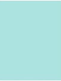 LUXPaper 11" x 17" Cardstock | Tabloid Size | Seafoam Blue | 100lb. Cover | 50 Qty