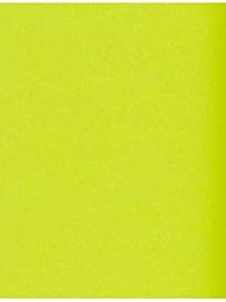 LUXPaper 11" x 17" Cardstock | Tabloid Size | Wasabi Green | 100lb. Cover | 50 Qty
