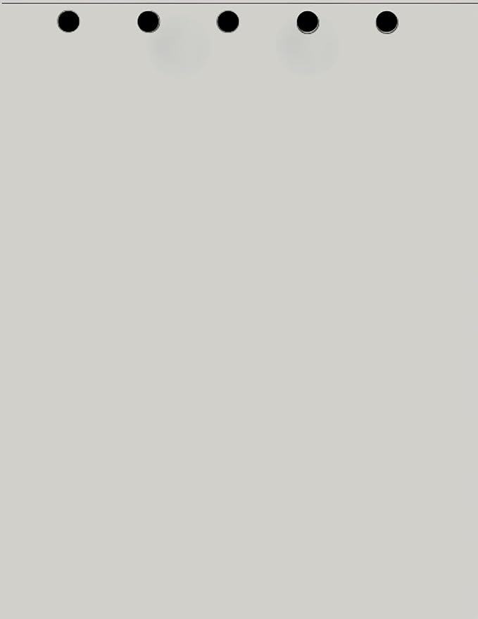 Limited Papers(TM) Writing and Copy Paper, Variation of Colors 8.5" x 11", 5 Hole Top-Punched, 20 Pound Text, 500 Sheets Per Ream. (2500, Grey)
