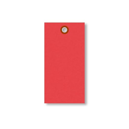 SmartSign (Pack of 100) 4.75 x 2.375 inch “Red” Blank Tyvek Shipping Tags with Metal Eyelets, Size #5, 8 mil Thick Tyvek, Made in USA