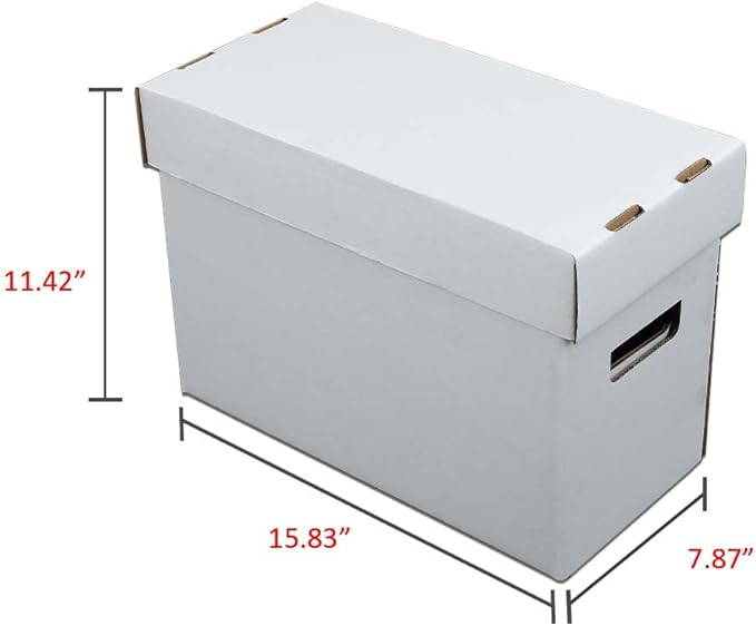 ANDPLAY 10 Pcs Comic Books Storage Boxes With Lids Short Holds 150-175 Stackable Durable Archive White Comic Book Storage