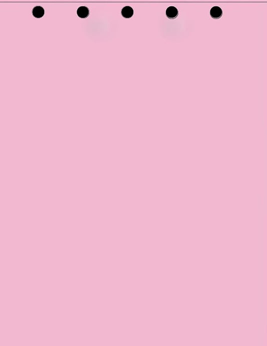 Limited Papers(TM) Writing and Copy Paper, Variation of Colors 8.5" x 11", 5 Hole Top-Punched, 20 Pound Text, 500 Sheets Per Ream. (5000, Pink)