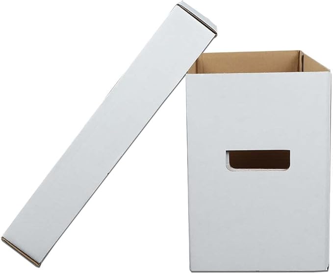 ANDPLAY 10 Pcs Comic Books Storage Boxes With Lids Short Holds 150-175 Stackable Durable Archive White Comic Book Storage