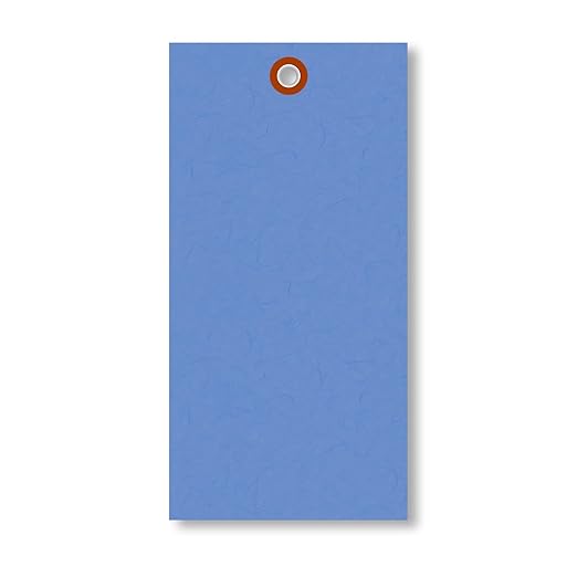 SmartSign (Pack of 1000) 6.25 x 3.125 inch “Blue” Blank Tyvek Shipping Tags with Metal Eyelets, Size #8, 8 mil Thick Tyvek, Made in USA