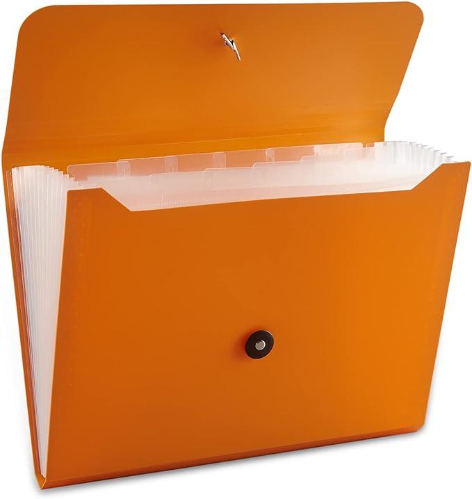 Nicfaec Expanding File Folder, 13 Pockets, Orange, Polypropylene for Work, School, Home, Office