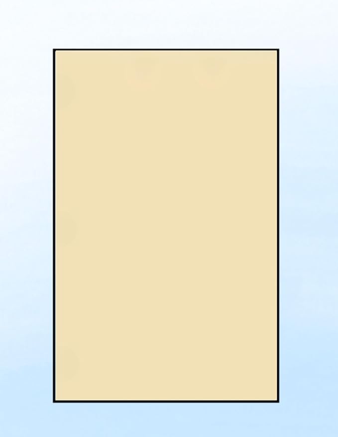 Limited Papers (TM) Colored Copy Paper – 24lb/60lb Text, 11"x17", Tabloid Size, 500 Sheets Per Ream. (5000, Tan)