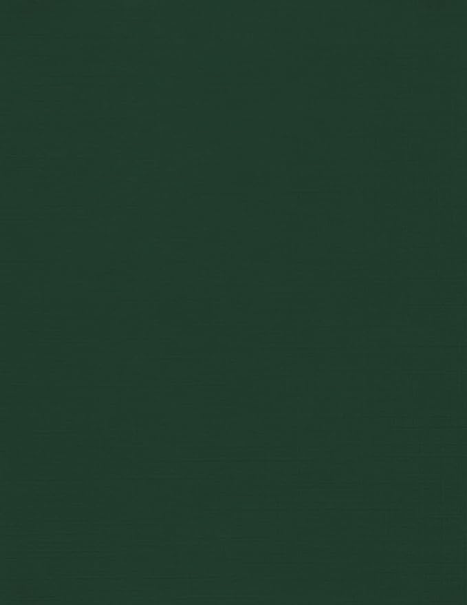 LUXPaper 8.5" x 11" Cardstock | Letter Size | Green Linen | 100lb. Cover (183lb. Text) | 250 Qty