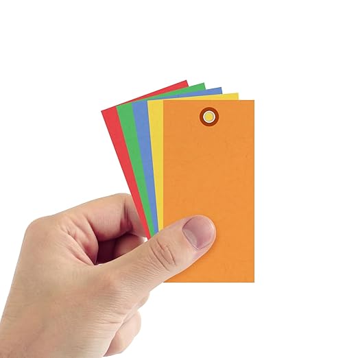 SmartSign (Pack of 100) 4.75 x 2.375 inch Multi Colored Blank Tyvek Shipping Tags with Metal Eyelets, Size #5, 8 mil Thick Tyvek
