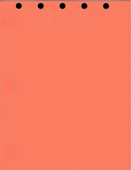 Limited Papers(TM) Writing and Copy Paper, Variation of Colors 8.5" x 11", 5 Hole Top-Punched, 20 Pound Text, 500 Sheets Per Ream. (500, Salmon)