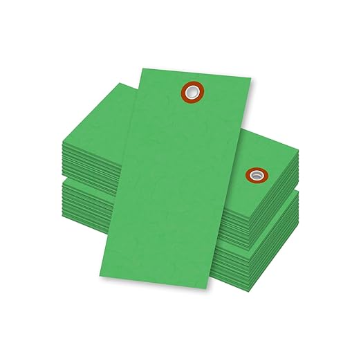 SmartSign (Pack of 100) 4.75 x 2.375 inch “Green” Blank Tyvek Shipping Tags with Metal Eyelets, Size #5, 8 mil Thick Tyvek, Made in USA