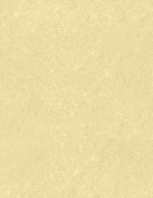 LUXPaper 8.5" x 11" Paper | Letter Size | Gold Parchment | 60lb. Text | 50 Qty