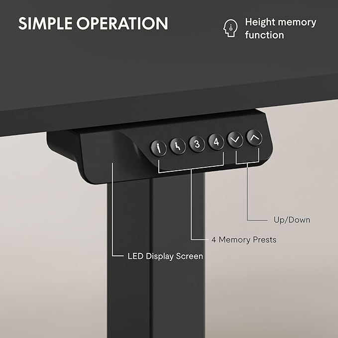 FLEXISPOT 79x32 Inch Large Dual Motor Electric Standing Desk, Black - Computer Desk with Memory Controller, Home Office Desk with Splice Board
