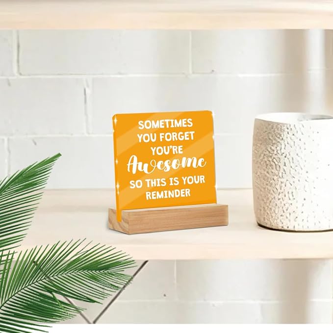 Motivational Reminder Quotes Desk Decor Acrylic Sign, Inspirational Appreciation Gifts for Women Men Coworkers Friends, Positive Affirmations Desk Accessories Signs for Table Top Cubicle Office Decor
