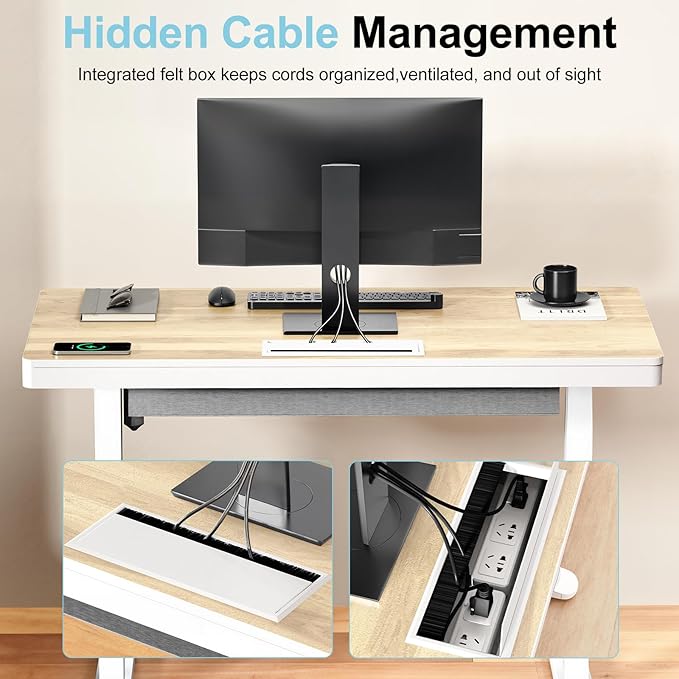 ERGO COLLECT Electric Standing Desk 48 Inch - One-Piece Desktop with Drawer, Cable Management, Wireless Charging & USB Port, Quiet Motor - for Home Office, Light Wood