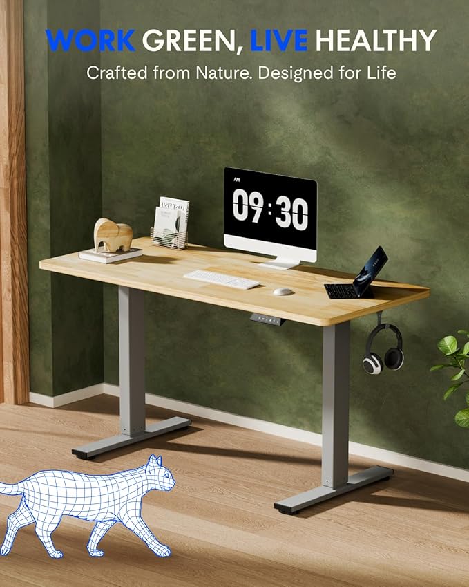 FLEXISPOT EN1 One-Piece Solid Wooden Standing Desk 63 x 24 Inches Height Adjustable Electric Sit Stand Home Office Desks (Silver Frame + Rubber Wood Top, 2 Packages)