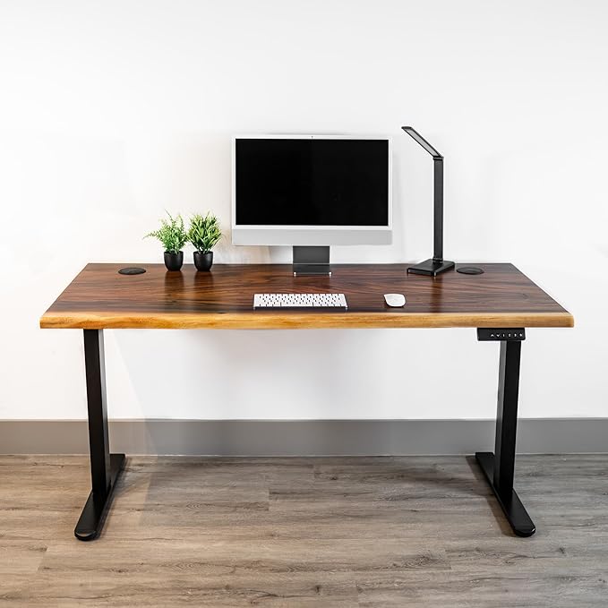 Standing Desk – Walnut Solid Wood Desk, Natural Live Edge, Adjustable Height Dual Motor, Sit Stand for Home Office (Black, W60 x D27)
