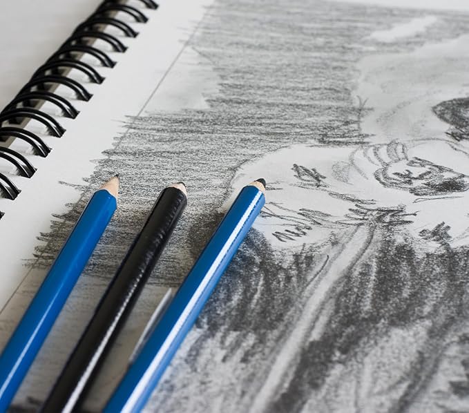 GIFTEXPRESS Pack of 12 Letter Size Sketch Book Bound Spiral Premium Sketch Pads Set, Pencil Sketch Book 30 Sheets Each, 8.5" X 11" Side Wire Bound, White Blank Paper Sheets for Pencil, Ink, Pastel