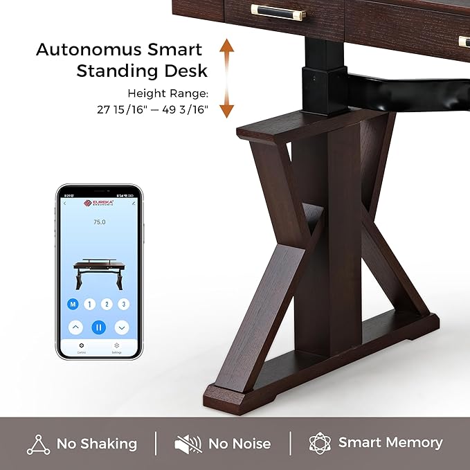 EUREKA ERGONOMIC Ark SWS Standing Desk, 63 inch Executive Desk w Drawers,Modern X-Shaped Leg Luxury Home Office Computer Desk w Monitor Stand,Colorblock Smoked Oak