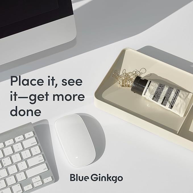 BLUE GINKGO Desk Tray – Korean-Made Organizer for Notes, Pens, Pencils, and Accessories (Double-sided, Green)