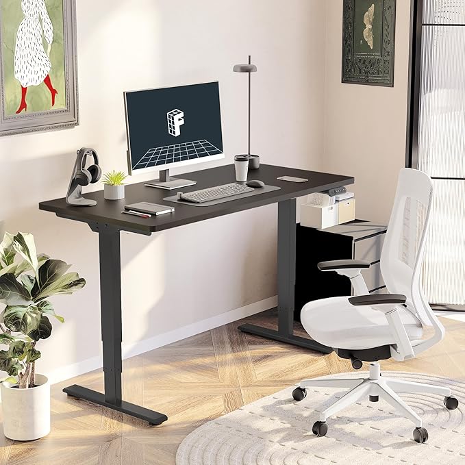 FlexiSpot E6 3-Stage Dual Motor Electric Standing Desk 48 x 30 Sit Stand Up Desk, Holds 220 lbs, Adjustable Height w/ Memory Presets, One-Piece Black Desktop & Black Frame, Ships in 2 Boxes