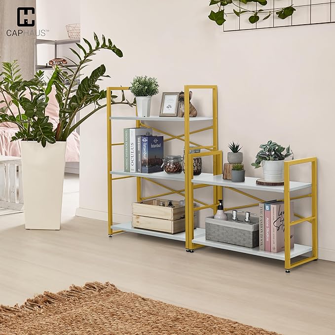 CAPHAUS 2 Tier Small Bookshelf, 24 Inch Width Free Standing Shelf, Bookcase Shelf Storage Organizer, Industrial Book Shelves for Home Office, Living Room, White Wooden Shelves & Gold Frame