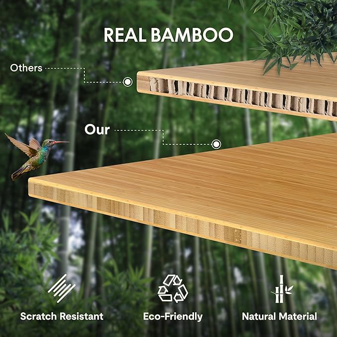 FLEXISPOT EN1 Bamboo Standing Desk, 48 x 24 Inches Whole-Piece Electric Height Adjustable Desk (Silver Frame + Bamboo Top, 2 Packages)