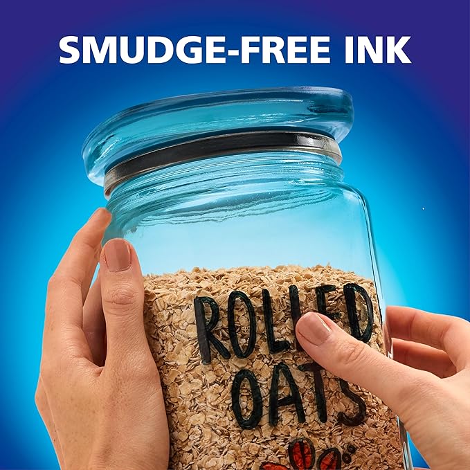 EXPO Visa Vis Wet Erase Markers Fine Point Black 12-Pack Ideal for Classroom and Homeschool Use