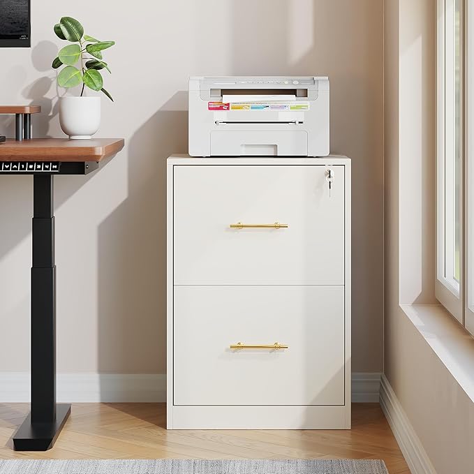 GFGWXW 2 Drawer Vertical File Cabinet with Lock, Suitable for Letter/A4/F4/Legal Size Hanging Files,Small Wood Filing Storage Cabinets Printer Stand for Home Office,White