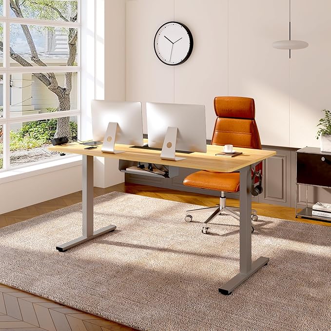 FLEXISPOT EN2 Whole-Piece Standing Desk with Clamp Power Strip, 48 x 30 Electric Stand Up Height Adjustable Desk with Cable Management (Gray Frame + 48" Maple Top, 2 Packages)