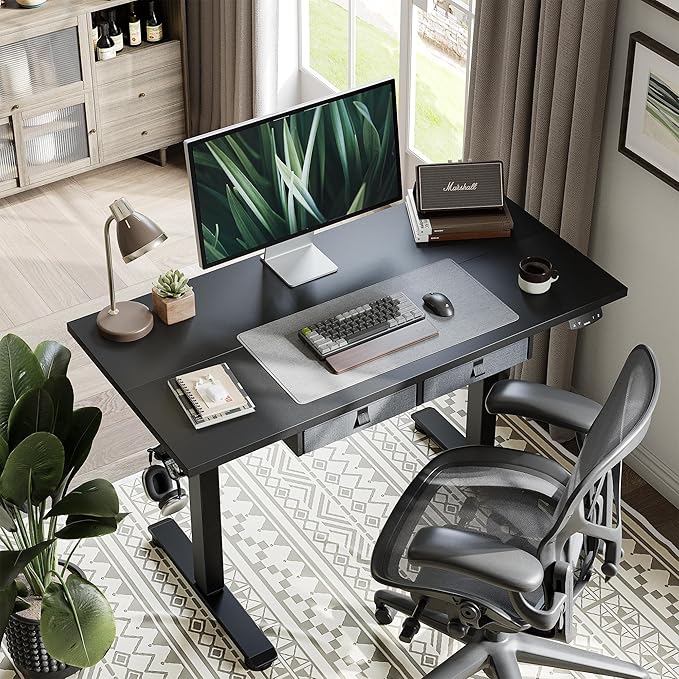 Agilestic Standing Desk with 2 Drawers, Adjustable Height Electric Desk with Storage, 48 x 24 Inches Sit Stand Up Computer Table for Work Office Home, Black