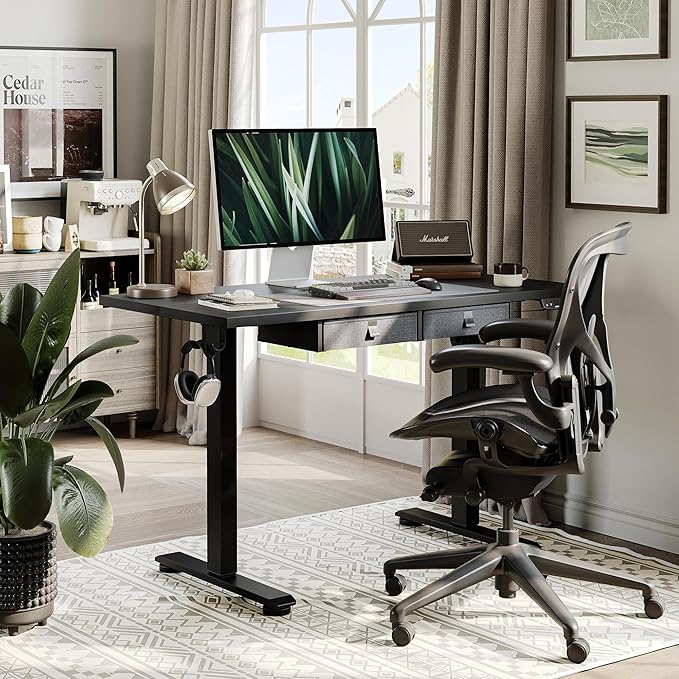 Agilestic Standing Desk with 2 Drawers, Adjustable Height Electric Desk with Storage, 48 x 24 Inches Sit Stand Up Computer Table for Work Office Home, Black