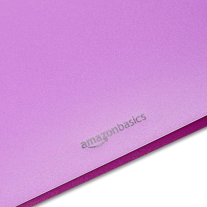 Amazon Basics Plastic 3 Hole Punch Folders with 2 Pockets, 8.5 x 11 inches, Pack of 6, Assorted Color